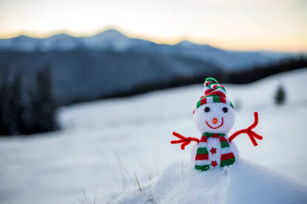 Preparing For The Cold And Flu Season